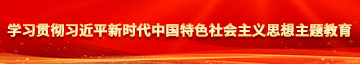 操女人下面视频国产学习贯彻习近平新时代中国特色社会主义思想主题教育